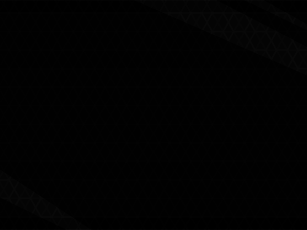 La carta de Seid&nbsp;Visin